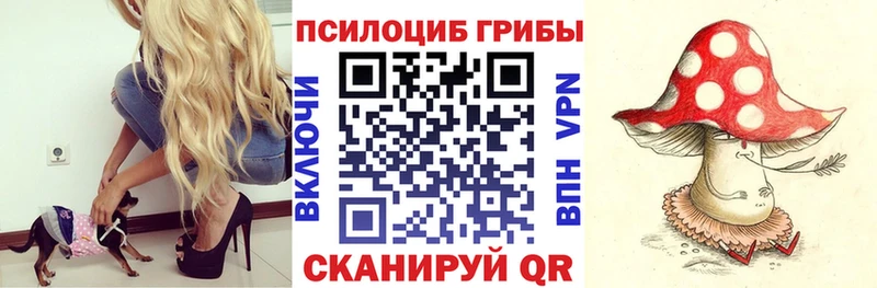 Псилоцибиновые грибы прущие грибы  Купить  Мегион 